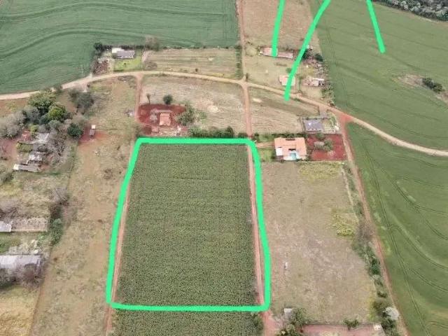 Terreno venda em Patrimônio Regina, Londrina