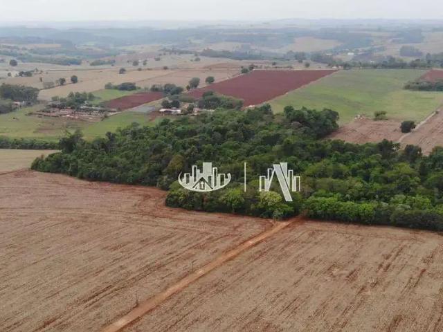 Terreno venda em Região Geográfica Imediata de Londrina, Londrina