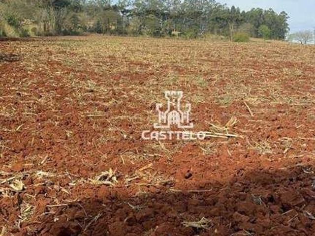 Terreno venda em Região Geográfica Imediata de Londrina, Londrina