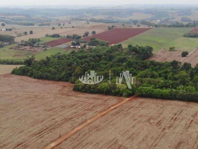 Terreno venda em Região Geográfica Imediata de Londrina, Londrina