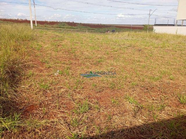 Terreno venda em Região Geográfica Imediata de Londrina, Londrina