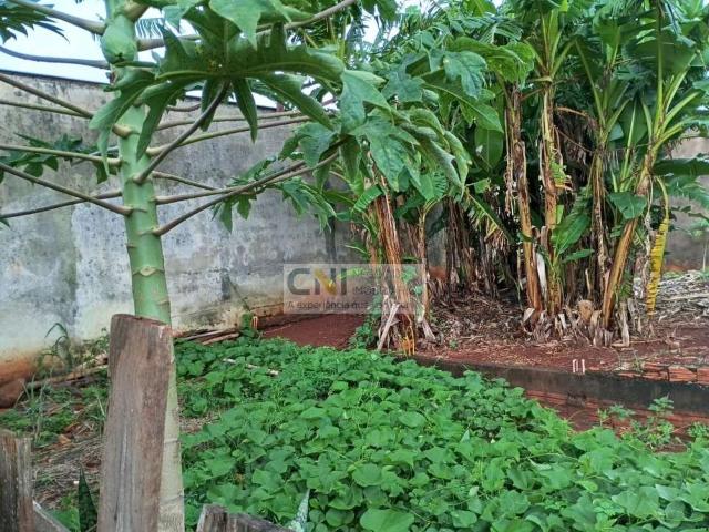 Terreno venda em Região Geográfica Imediata de Londrina, Londrina