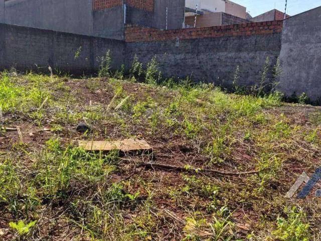 Terreno venda em Região Geográfica Imediata de Londrina, Londrina