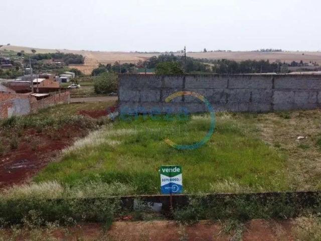 Terreno venda em Região Geográfica Imediata de Londrina, Londrina