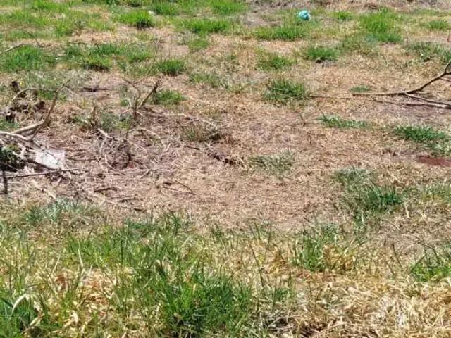 Terreno venda em Região Geográfica Imediata de Londrina, Londrina