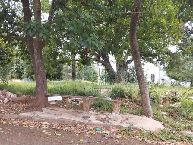 Terreno venda em Região Geográfica Imediata de Londrina, Londrina