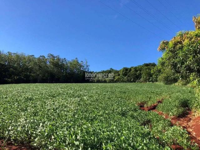 Terreno venda em Região Geográfica Imediata de Londrina, Londrina