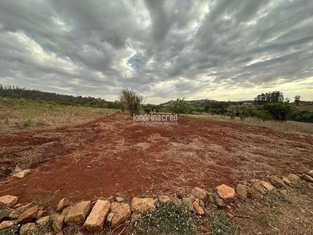 Terreno venda em Região Geográfica Imediata de Londrina, Londrina