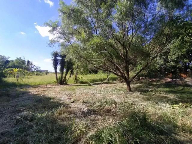 Terreno venda em Região Geográfica Imediata de Londrina, Londrina