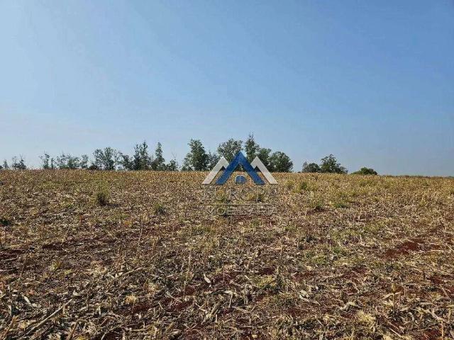 Terreno venda em Região Geográfica Imediata de Londrina, Londrina