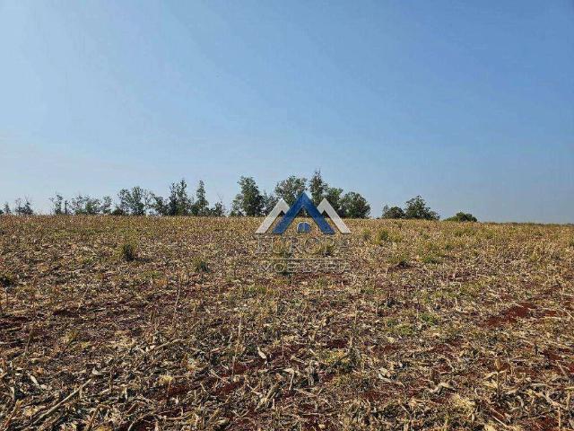 Terreno venda em Região Geográfica Imediata de Londrina, Londrina