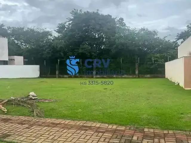 Terreno venda em Região Geográfica Imediata de Londrina, Londrina