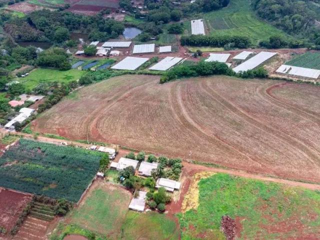 Terreno venda em Região Geográfica Imediata de Londrina, Londrina