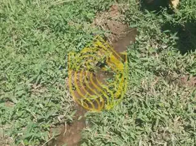 Terreno venda em Região Imediata de Guaratinguetá, Região Metropolitana do Vale do Paraíba e Litoral Norte