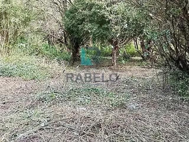 Terreno venda em Região Imediata de Guaratinguetá, Região Metropolitana do Vale do Paraíba e Litoral Norte