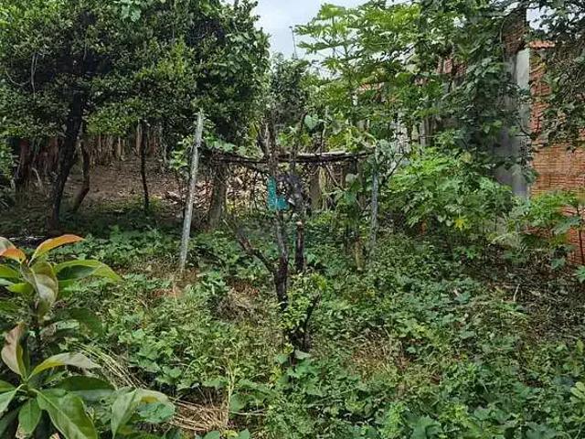 Terreno venda em Região Imediata de Guaratinguetá, Região Metropolitana do Vale do Paraíba e Litoral Norte