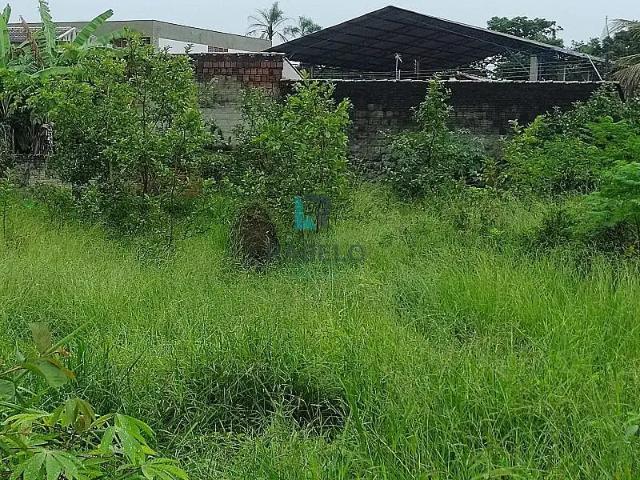 Terreno venda em Região Imediata de Guaratinguetá, Região Metropolitana do Vale do Paraíba e Litoral Norte