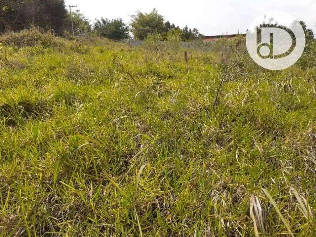 Terreno venda em Região Imediata de Jundiaí, Louveira