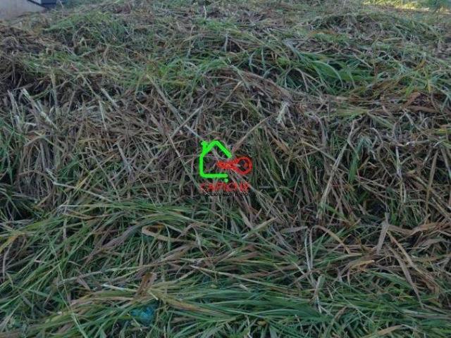 Terreno venda em Jardim Bandeirantes, Louveira