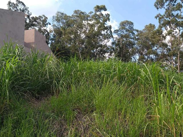Terreno venda em Videira, Louveira
