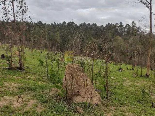 Terreno venda em Região Imediata de Jundiaí, Louveira
