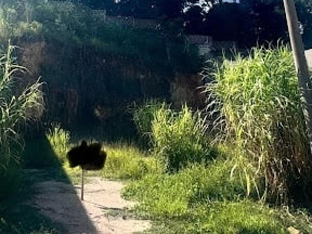 Terreno venda em Região Imediata de Jundiaí, Louveira