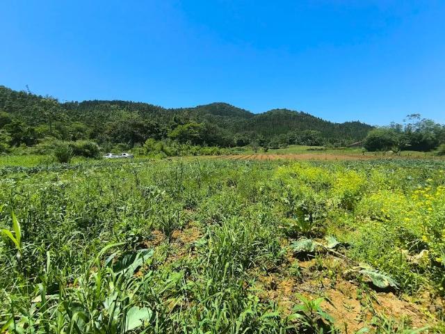 Terreno venda em Vila do Salto, Luiz Alves