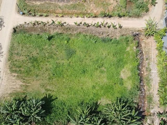 Terreno venda em Vila do Salto, Luiz Alves