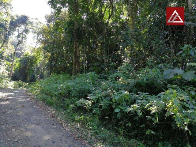Terreno venda em Região Geográfica Imediata de Itajaí, Luiz Alves
