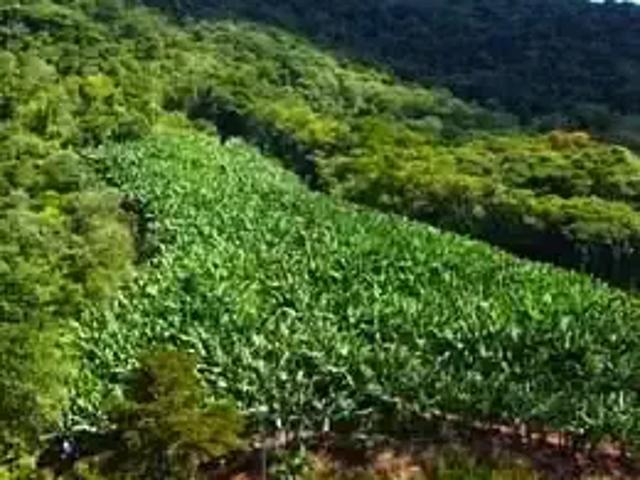 Terreno venda em Região Geográfica Imediata de Itajaí, Luiz Alves