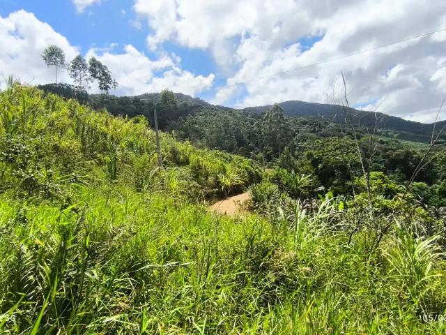 Terreno venda em Região Geográfica Imediata de Itajaí, Luiz Alves