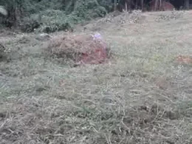 Terreno venda em Região Geográfica Imediata de Itajaí, Luiz Alves