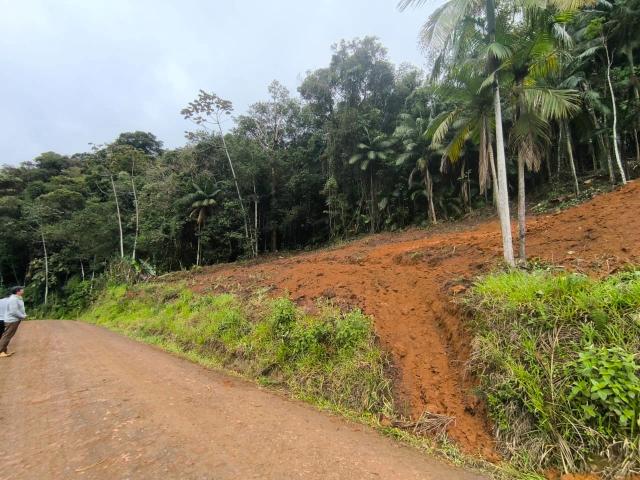 Terreno venda em Vila do Salto, Luiz Alves