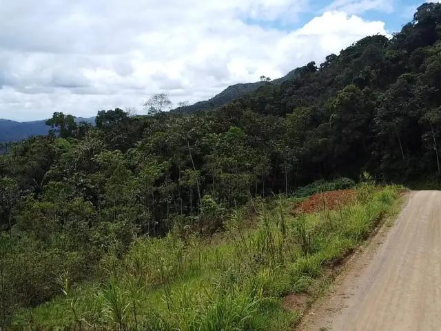 Terreno venda em Região Geográfica Imediata de Itajaí, Luiz Alves