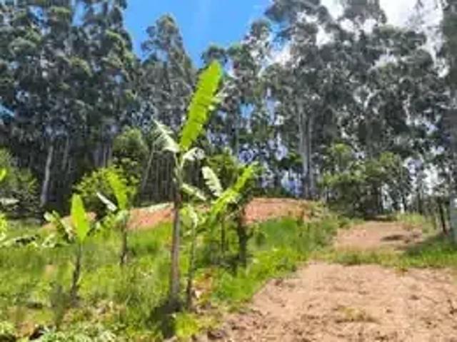 Terreno venda em Região Geográfica Imediata de Itajaí, Luiz Alves