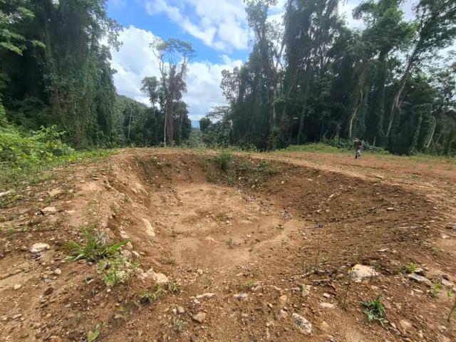 Terreno venda em Região Geográfica Imediata de Itajaí, Luiz Alves