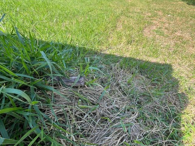 Terreno venda em Região Geográfica Imediata de Macaé-Rio das Ostras, Macaé