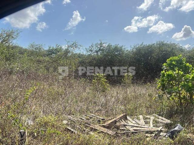 Terreno venda em Macaíba