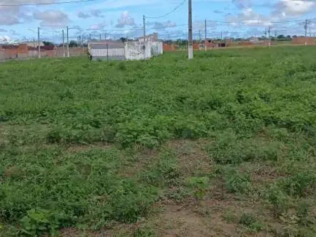 Terreno venda em Região Geográfica Imediata de Maceió, Feliz Deserto