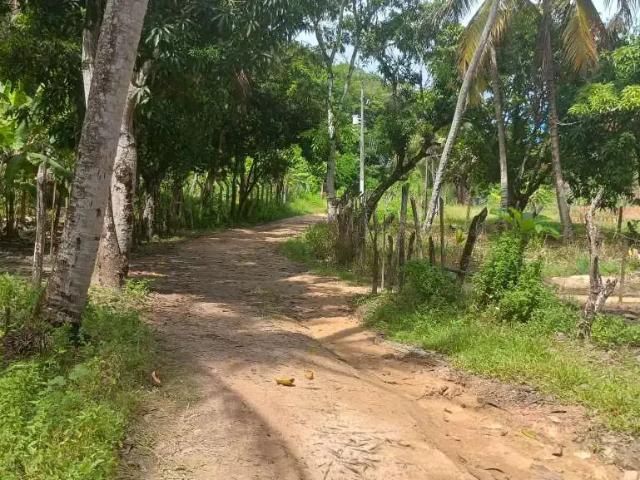 Terreno venda em Região Geográfica Imediata de Maceió, Feliz Deserto