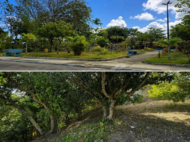 Terreno venda em Maceió