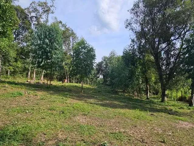 Terreno venda em Região Geográfica Imediata de Mafra, Mafra