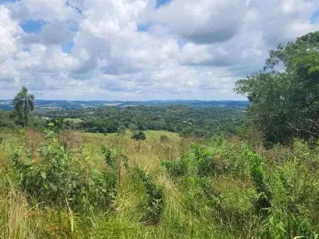Terreno venda em Região Imediata de Sorocaba, Região Metropolitana de Sorocaba