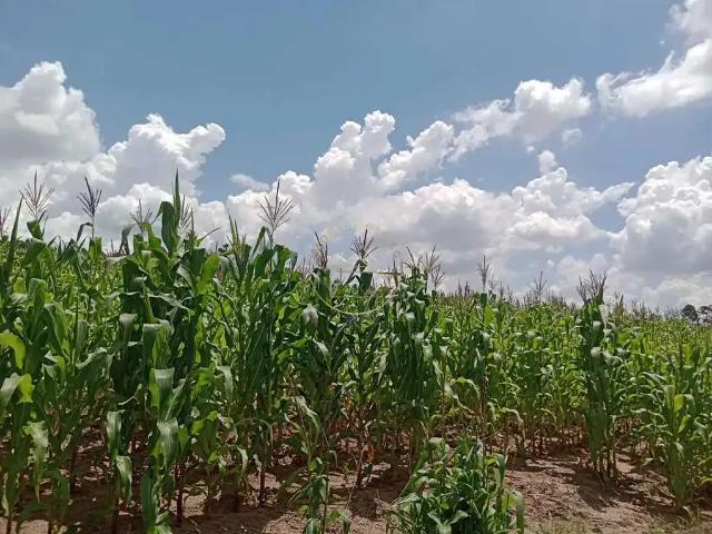 Terreno venda em Região Imediata de Sorocaba, Região Metropolitana de Sorocaba