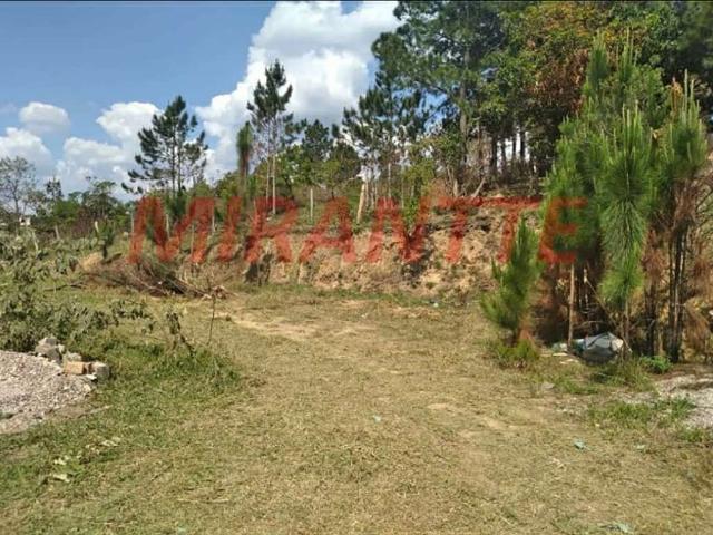 Terreno venda em Vila Curuça, São Paulo