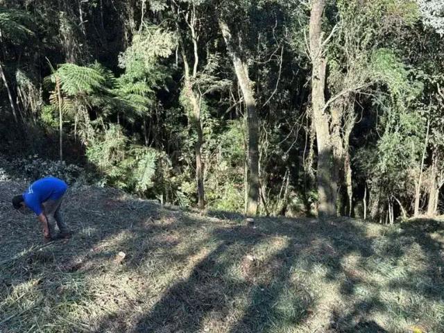 Terreno venda em Região Imediata de São Paulo, Região Metropolitana de São Paulo