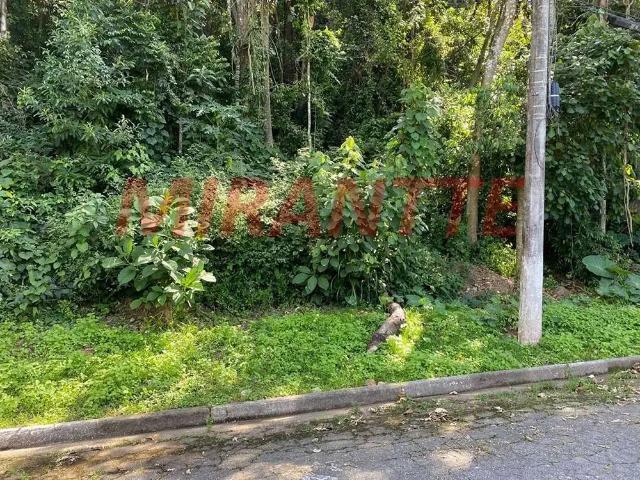 Terreno venda em Mairiporã