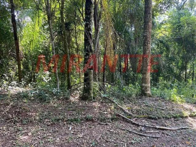 Terreno venda em Campos da Cantareira, Mairiporã
