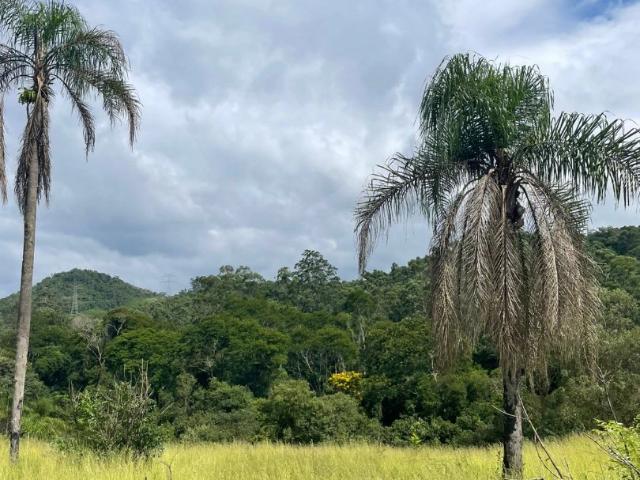 Terreno venda em Jardim Galrão, Mairiporã