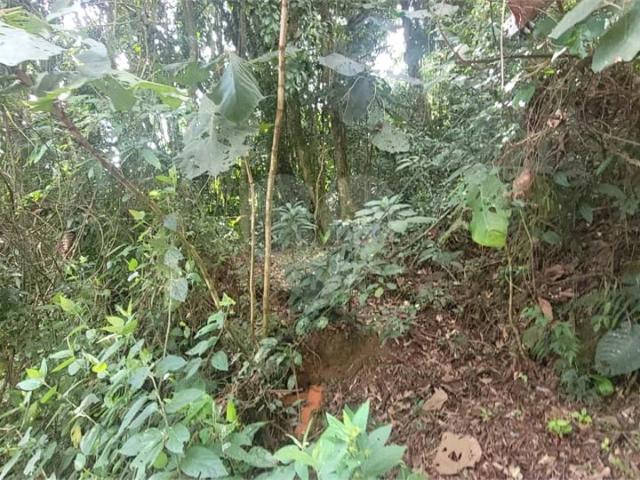 Terreno venda em Jardim Sandra I, Mairiporã